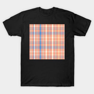 Spring Aesthetic Catriona 1 Hand Drawn Textured Plaid Pattern T-Shirt